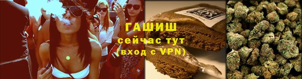 индика Белоозёрский