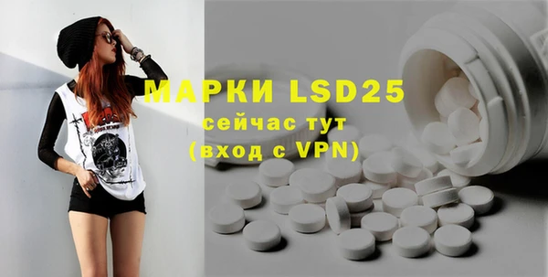 индика Белоозёрский
