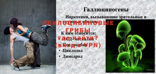 индика Белоозёрский