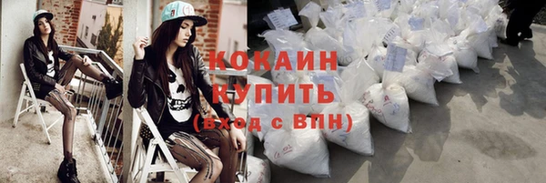 индика Белоозёрский