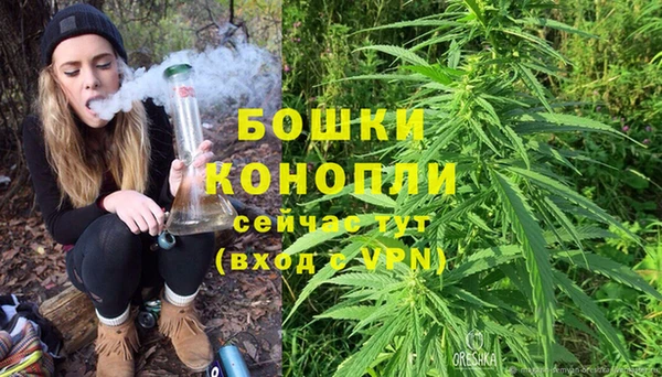 СК Белокуриха