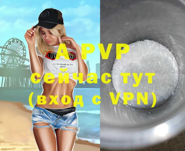СК Белокуриха